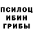 Галлюциногенные грибы Magic Shrooms LevKoshkin