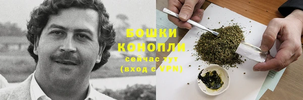 СК Куйбышев